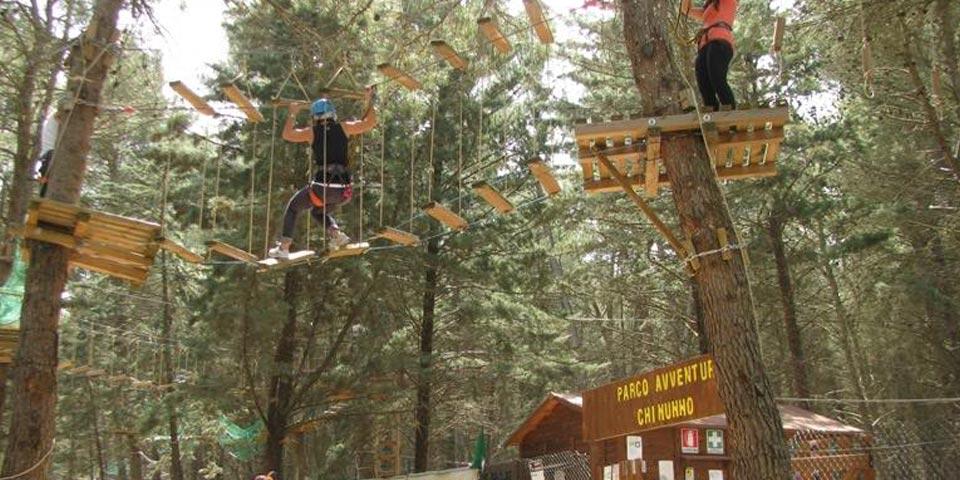 ALTAMURA. 1 biglietto d'ingresso per il Parco  Avventura completo di tre percorsi con volo dell'angelo a soli Euro 9,90, da  Masseria Chinunno.