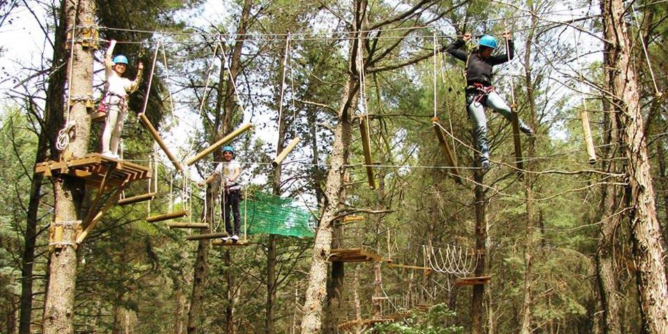 ALTAMURA. 1 biglietto d'ingresso per il Parco  Avventura completo di tre percorsi con volo dell'angelo a soli Euro 9,90, da  Masseria Chinunno.