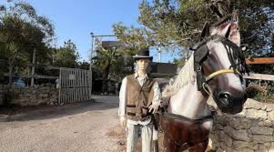 Lecce , Esplora la Riserva Naturale delle Cesine e le Spiagge Limitrofe a Cavallo a soli &euro; 23,00 a Persona  da Piccolo Ranch 